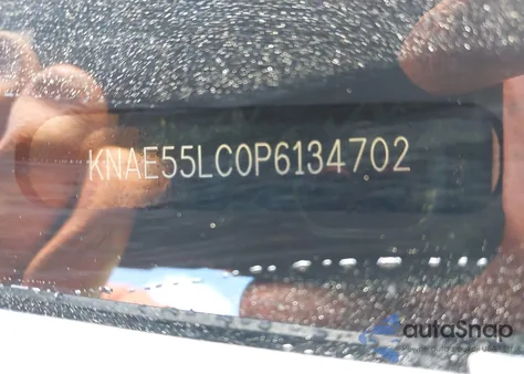 2023 Kia Stinger Gt2 from USA, damaged, VIN KNAE55LC0P6134702